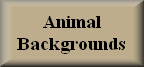 link to Eagle Gifts Galore Animal Backgrounds page